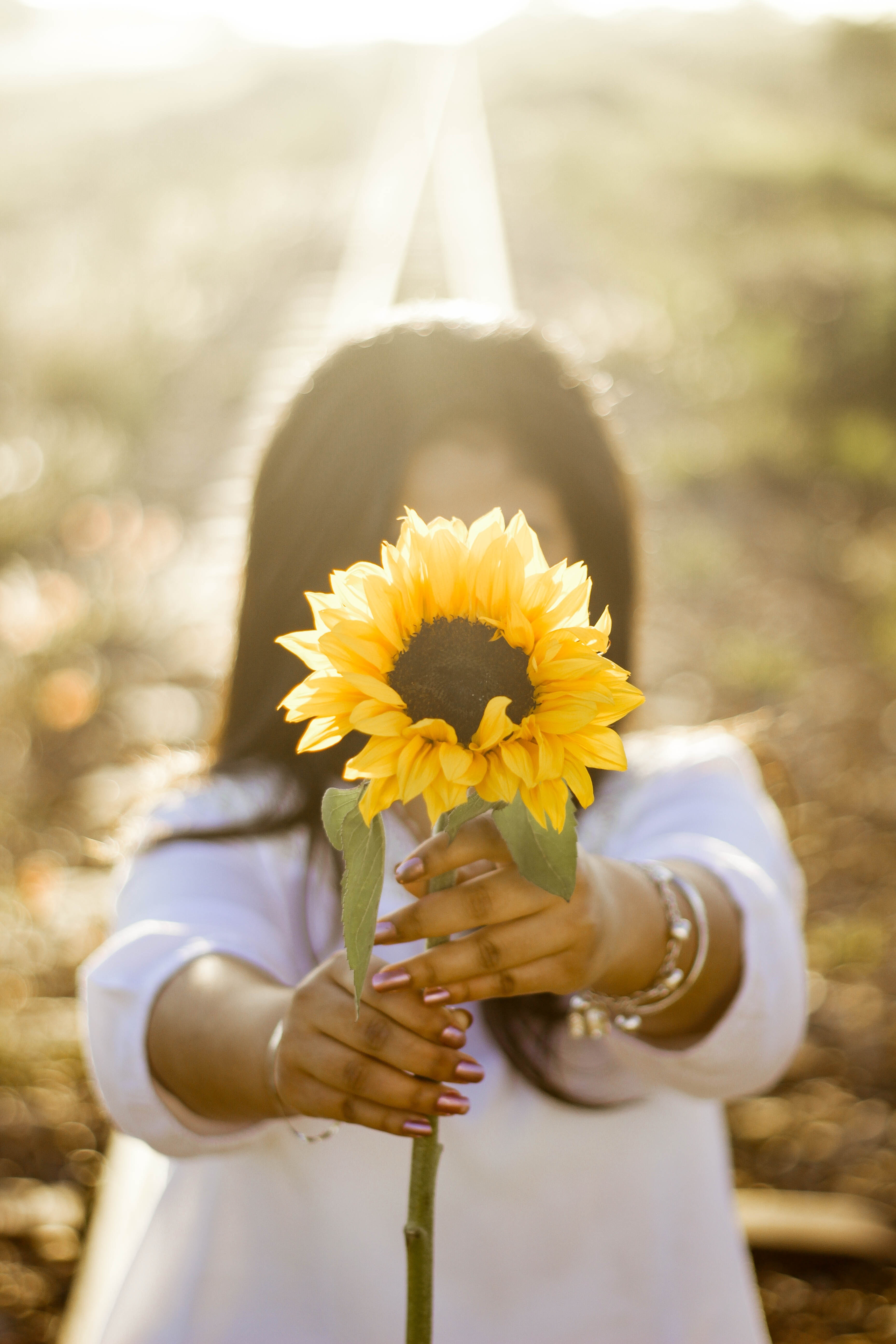 Frau hält Sonnenblume mit ausgestreckten Armen entgegen