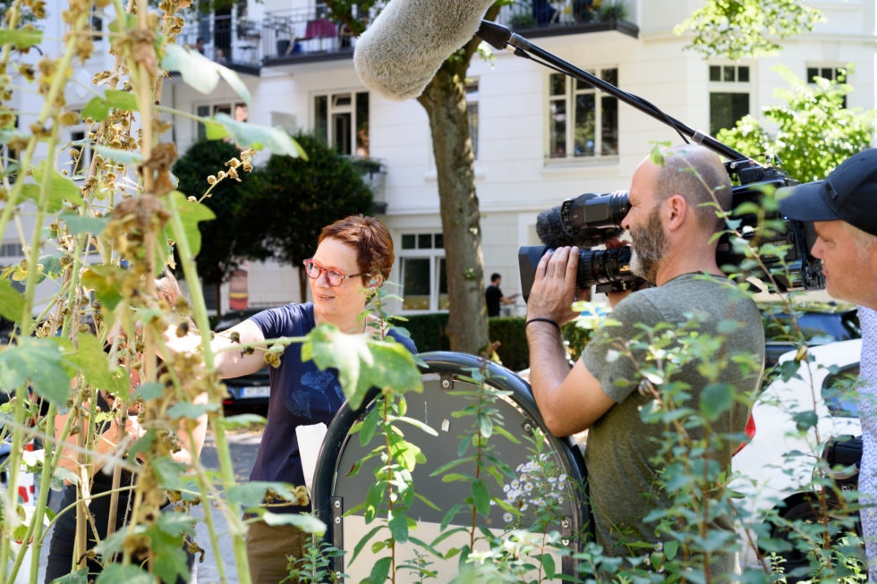 Der Garten im Fernsehen stephanusgarten