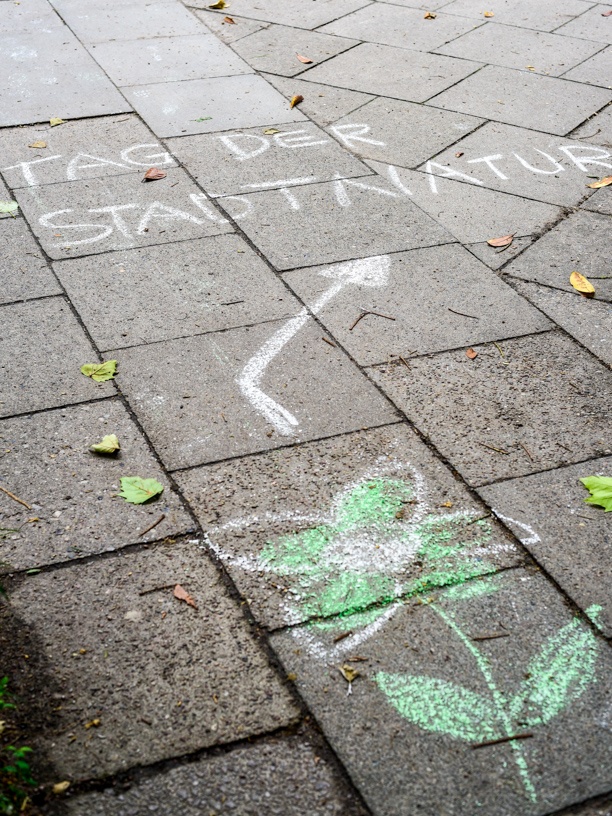 Straßenkreidezeichnung mit Blume und Pfeil zum Tag der Stadtnatur